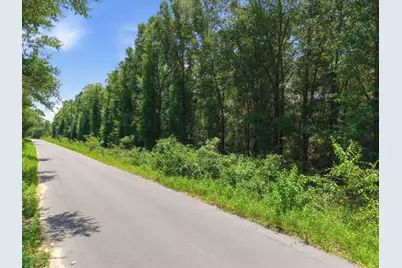 3 Acres Bryant Bridge Cutoff Road, Holt, FL 32564 - Photo 13