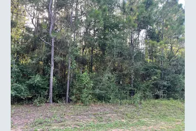 00 Hirsch Street, Milton, FL 32583 - Photo 1