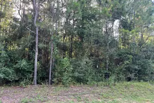 00 Hirsch St, Milton, FL 32583 - Photo 1