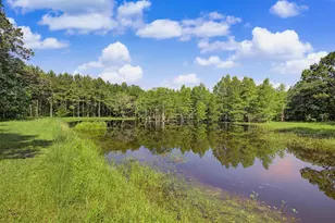 7621 Chellie Rd, Pensacola, FL 32526 - Photo 55