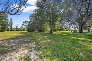 3407 Co Rd 2, Laurel Hill, FL 32567 - Photo 19