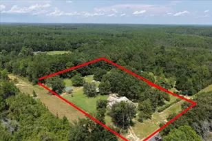 3407 Co Rd 2, Laurel Hill, FL 32567 - Photo 49