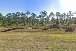 10 95 Acre Avalon Blvd, Milton, FL 32583 - Photo 1