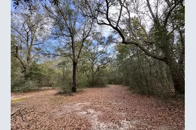 6512 Winston Brown Road, Milton, FL 32570 - Photo 3