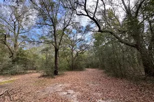 6512 Winston Brown Rd, Milton, FL 32570 - Photo 3