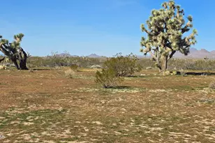 6705 E Red Barrel Rd, Yucca, AZ 86438 - Photo 53