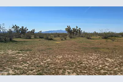 6705 E Red Barrel Rd, Yucca, AZ 86438 - Photo 53