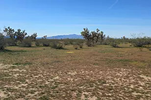 6705 E Red Barrel Rd, Yucca, AZ 86438 - Photo 53