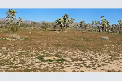 6705 E Red Barrel Rd, Yucca, AZ 86438 - Photo 55