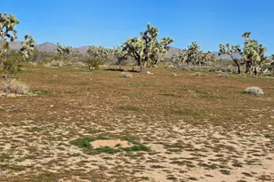 6705 E Red Barrel Rd, Yucca, AZ 86438 - Photo 55