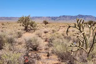 5918 N Ross Dr, Kingman, AZ 86401 - Photo 1