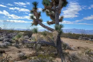 2328 S Tom Mix Rd, Yucca, AZ 86438 - Photo 1