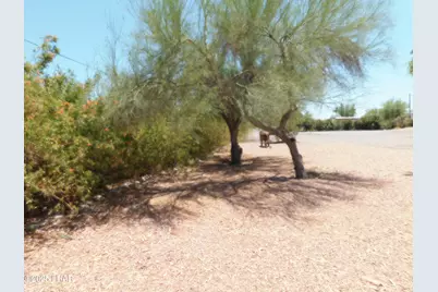 206 W Crystal Ln, Quartzsite, AZ 85346 - Photo 57