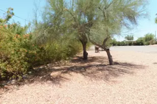 206 W Crystal Ln, Quartzsite, AZ 85346 - Photo 57
