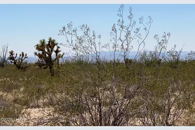 812 Stagecoach Trail, Yucca, AZ 86438 - Photo 7