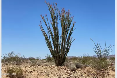 812 Stagecoach Trail, Yucca, AZ 86438 - Photo 3