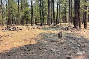 7681 E Robin Hood Rd, Williams, AZ 86046 - Photo 21