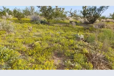 3501 S Wild Bill Rd, Yucca, AZ 86438 - Photo 21