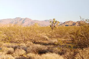 3501 S Wild Bill Rd, Yucca, AZ 86438 - Photo 1