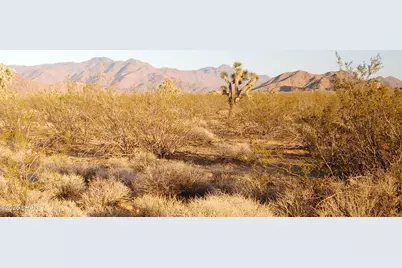 3501 S Wild Bill Rd, Yucca, AZ 86438 - Photo 11