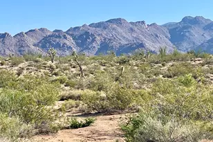 6 E Allison Dr, Yucca, AZ 86438 - Photo 1