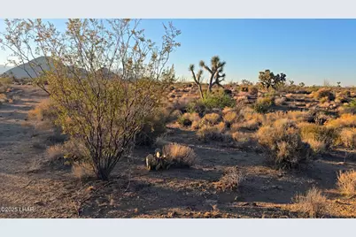 6 E Allison Dr, Yucca, AZ 86438 - Photo 27