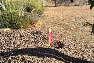 1911 E Troon Dr, Lake Havasu City, AZ 86404 - Photo 41