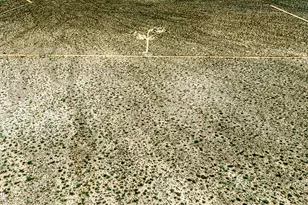 3607 S Kit Carson Rd, Yucca, AZ 86438 - Photo 9