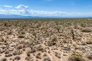 3607 S Kit Carson Rd, Yucca, AZ 86438 - Photo 17