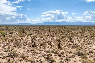 3607 S Kit Carson Rd, Yucca, AZ 86438 - Photo 7