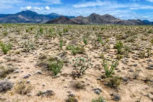 3607 S Kit Carson Rd, Yucca, AZ 86438 - Photo 3