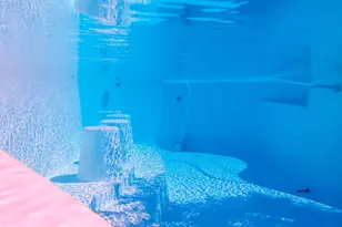 2572 Sunkentree Dr, Lake Havasu City, AZ 86403 - Photo 29