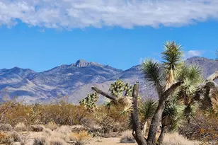 14176 S Nash Rd, Yucca, AZ 86438 - Photo 27