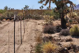 14176 S Nash Rd, Yucca, AZ 86438 - Photo 23
