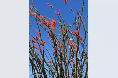 4 Acres S Ray Rd, Yucca, AZ 86438 - Photo 17
