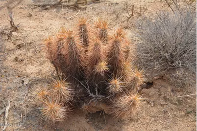 Lot 3271 S Arlington Rd, Yucca, AZ 86438 - Photo 53