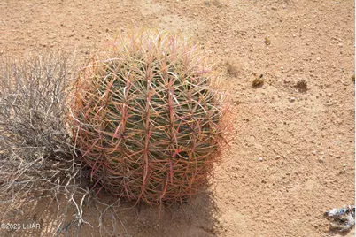 Lot 3271 S Arlington Rd, Yucca, AZ 86438 - Photo 55