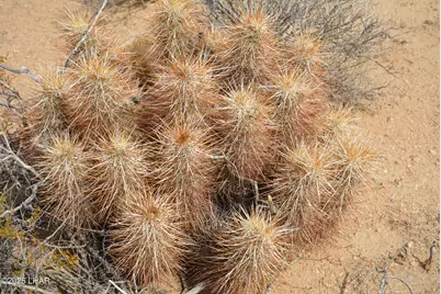 Lot 3271 S Arlington Rd, Yucca, AZ 86438 - Photo 85