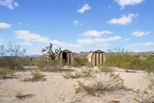 16693 N Lakeside Dr, Dolan Springs, AZ 86441 - Photo 41