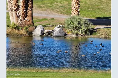 1566 Palace Way #29, Lake Havasu City, AZ 86403 - Photo 9