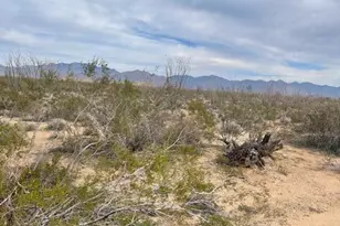 3048C S Ray Rd, Yucca, AZ 86438 - Photo 1