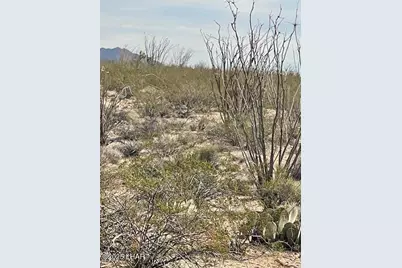 3048C S Ray Rd, Yucca, AZ 86438 - Photo 11