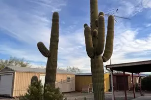 66725 64th Pl, Salome, AZ 85348 - Photo 9