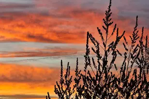 4206 N Cordes Rd, Golden Valley, AZ 86413 - Photo 61