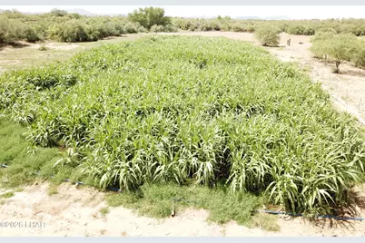 35448 2nd St, Wenden, AZ 85357 - Photo 45