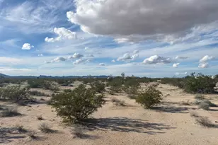 32012 Avenue 41 E, Bouse, AZ 85325 - Photo 7