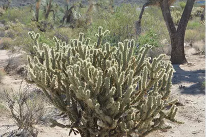 2279 E Margaret Dr, Yucca, AZ 86438 - Photo 69