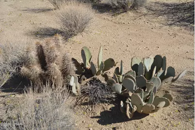 2279 E Margaret Dr, Yucca, AZ 86438 - Photo 9