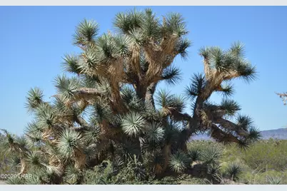 2279 E Margaret Dr, Yucca, AZ 86438 - Photo 45