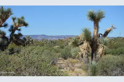 2279 E Margaret Dr, Yucca, AZ 86438 - Photo 33